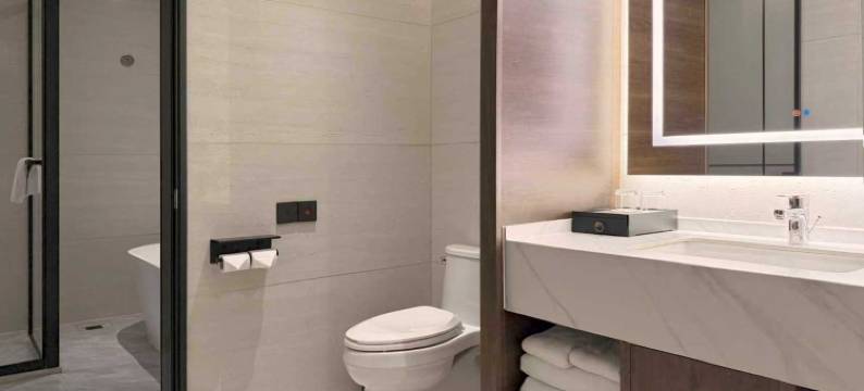 鞍山希尔顿逸林酒店图片