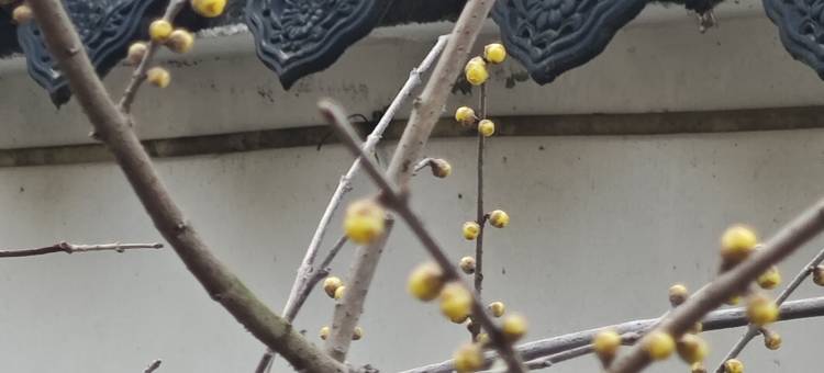 溪栖院民宿图片