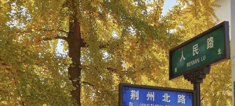 致馨栀子花开酒店(高铁站北门古城店)图片