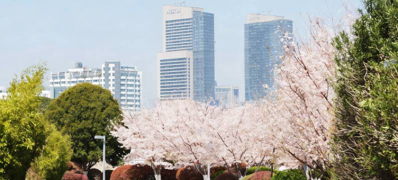 南京金茂威斯汀大酒店图片