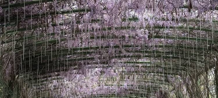 花筑·椿屿·畲乡秘境MountainVilla度假美宿(OMG心跳乐园店)图片