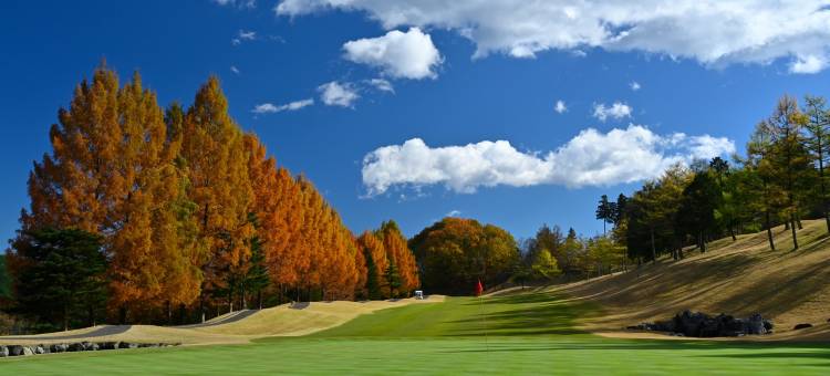利夫马克斯高尔夫俱乐部-栃木店(LiVEMAX  Golf Club Tochigi)图片