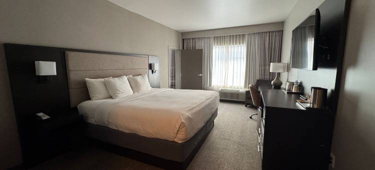 Surface Boutique Hotel 威尔罗杰斯机场，餐厅和酒吧(Surface Boutique Hotel Will Rogers AIrport, Restaurant & Bar)图片