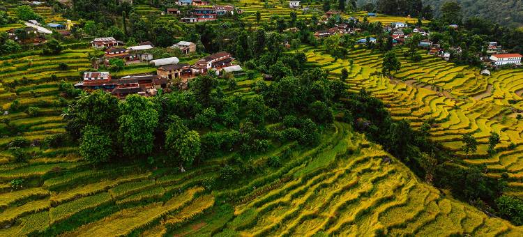 巴朗村落社区民宿(Barang Village Community Homestay)图片
