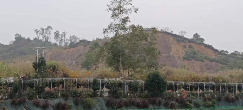 东莞市南门山森林公园小草湖庄园图片