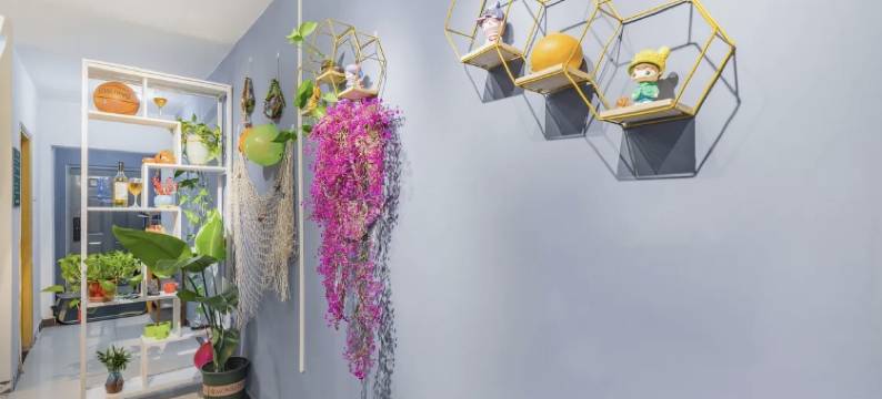 深圳西红柿青年旅舍图片