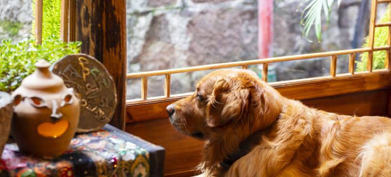 凤凰山雨·桐富吊脚楼江景民宿【虹桥店】图片