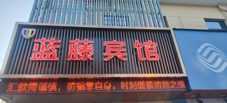蓝藤宾馆图片