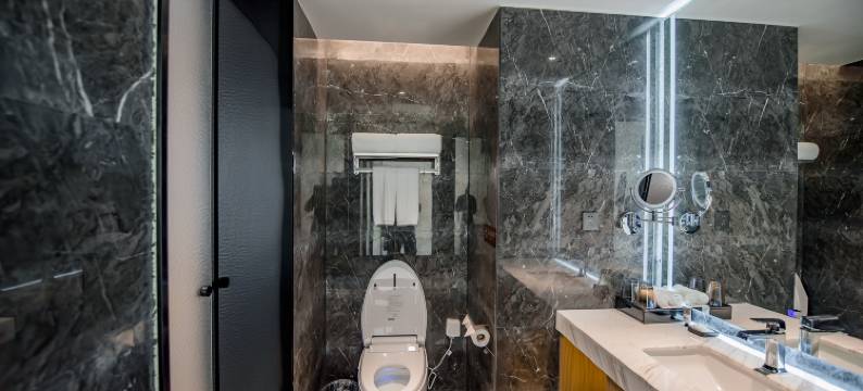 恒基大酒店图片