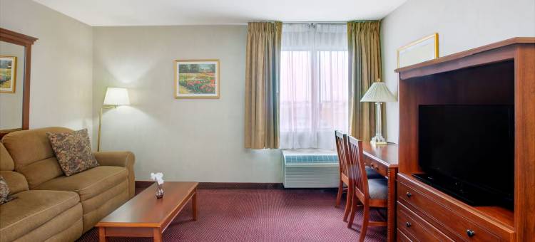 霍桑洛杉矶国际机场华美达酒店(Ramada by Wyndham Hawthorne LAX / LA Stadium)图片