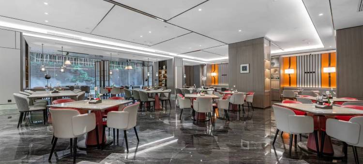 遂昌汤公雷迪森广场酒店图片