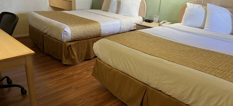 霍尔布鲁克Travelodge by Wyndham(Travelodge Holbrook)(Travelodge by Wyndham Holbrook)图片
