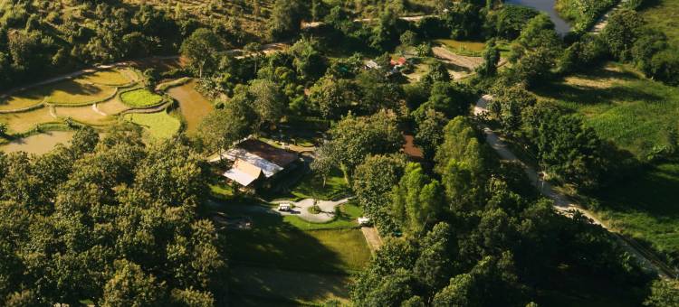 向日葵帐篷营地(Tantawan Tented camp)图片