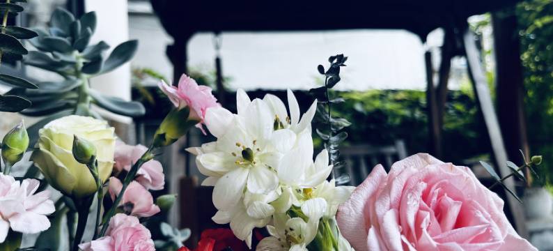 阳朔县雲起民宿图片