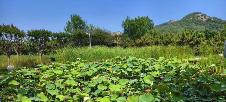 花筑·日照呦呦谷酒店图片