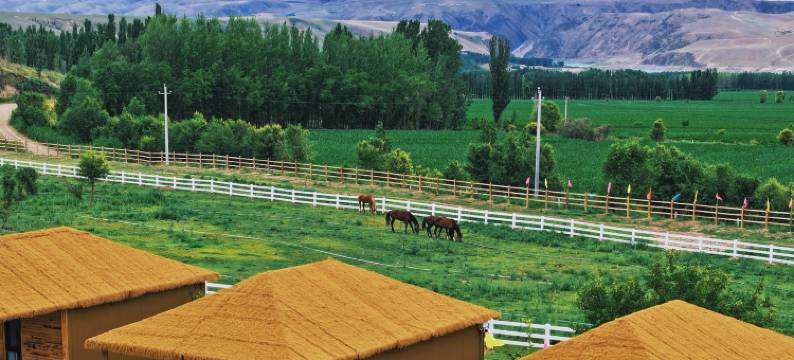 马帮寨营地图片
