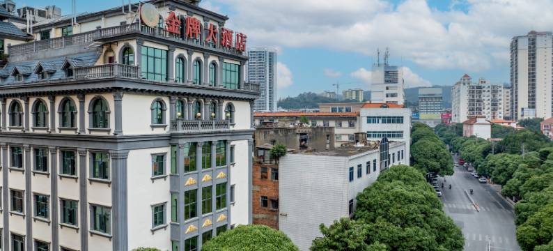 金牌大酒店(百色向阳店)图片