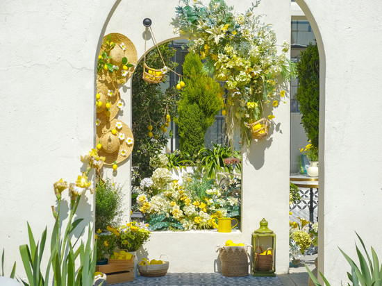 大理远桃花园·植物系度假民宿(龙龛码头店)