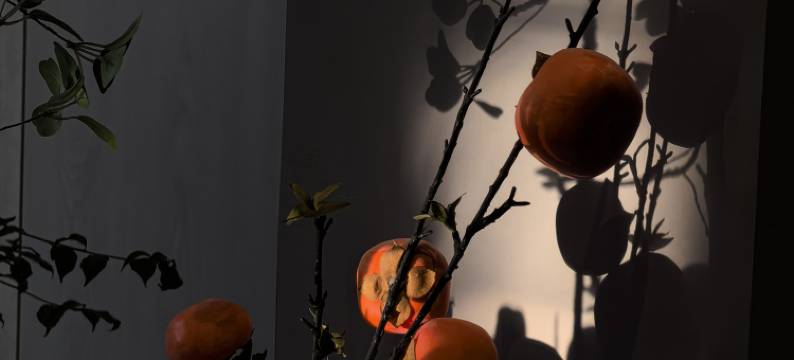 抚顺苹果酒店图片