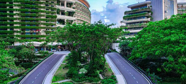 森林城市滨海酒店(Forest City Marina Hotel)图片