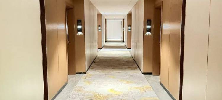 汤东杰普大酒店图片