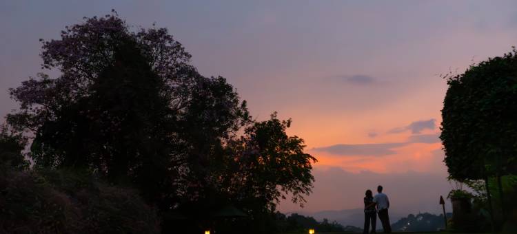 王亭酒店(Kings Pavilion Luxury Hotel)图片