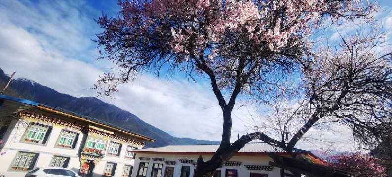 米林市阿茸仓旅馆图片