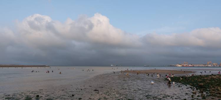 万高酒店(威海荣成石岛凤凰湖店)图片