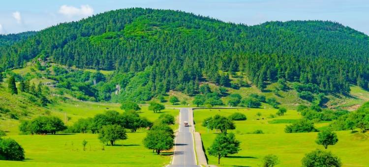 花筑·仙女山夜宴客栈(游客接待中心店)图片