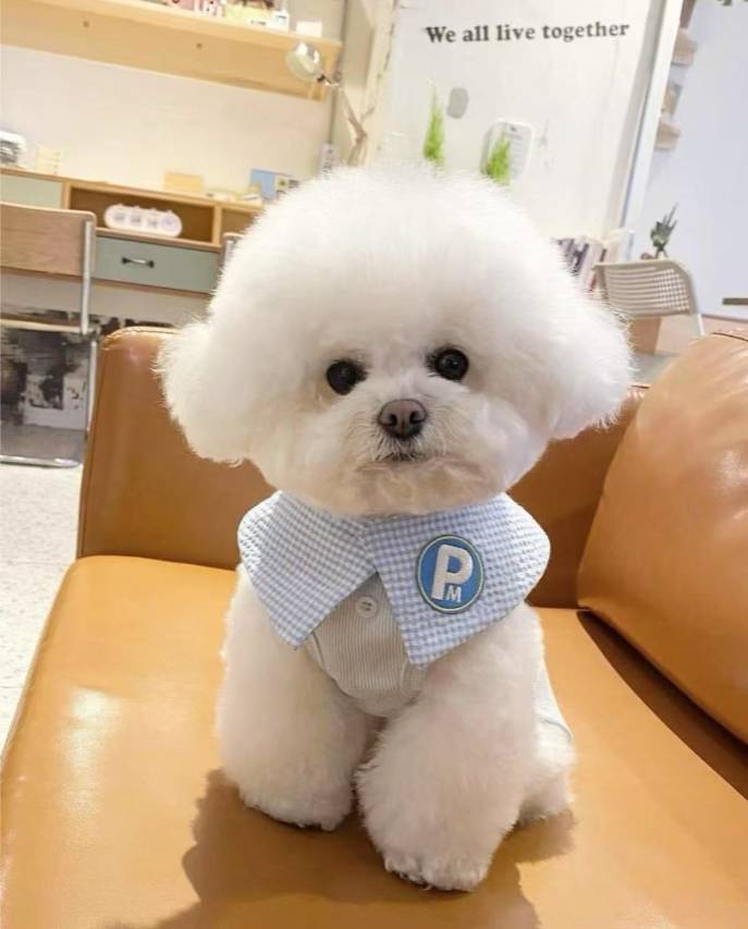 徐州亚诺酒店(云龙万达广场店)图片