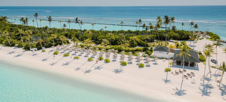 马尔代夫欢乐岛全包度假村(Joy Island Maldives by Cocoon Collection)图片