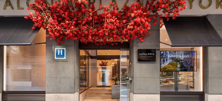 萨拉曼卡市长广场酒店(Catalonia Plaza Mayor Salamanca)图片