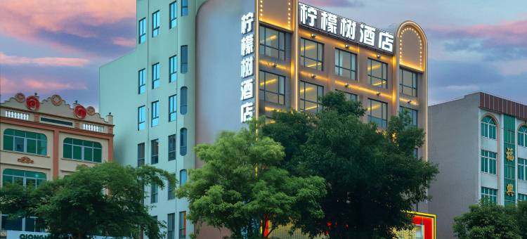 柠檬树酒店(琼海爱华路汽车站店)图片