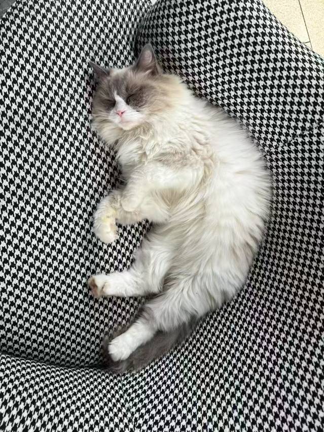 明月禾间野奢溯溪汤泉民宿图片