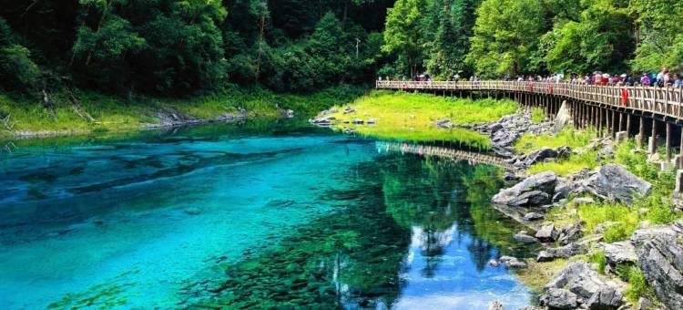 九寨沟悠游仙居MOUNTAIN•FOREST•VIEW•180°青山林海氧吧疗愈酒店图片