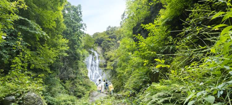 大江户温泉物语 辉乃汤(旧：汤快度假村汤原温泉辉乃汤)(Ooedo Onsen Monogatari Terunoyu(Old:Yukai Resort Terunoyu))图片