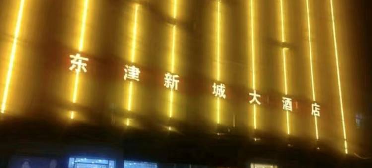 襄阳东津新城大酒店(华侨城奇幻度假区店)图片