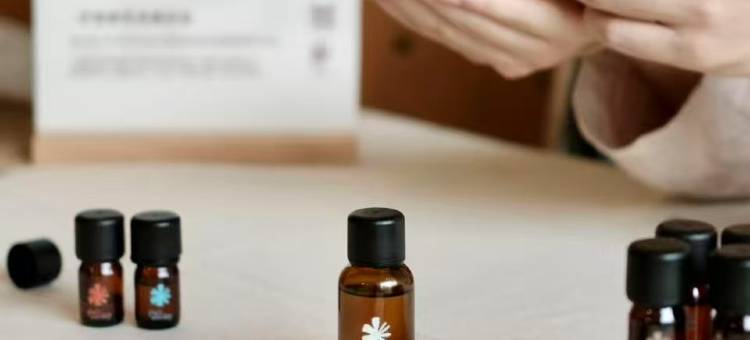 常州金菠萝禅驿酒店(春秋淹城店)图片