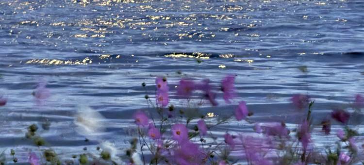 核桃树人家民宿图片