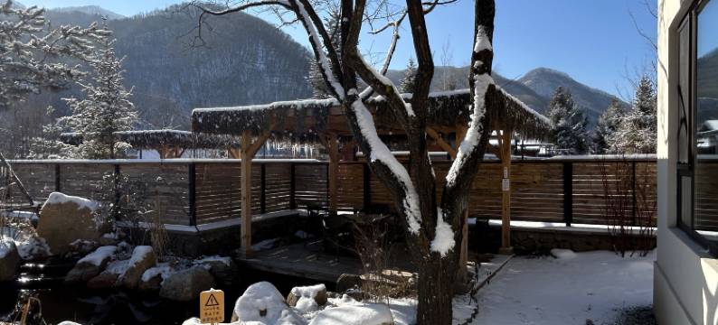 望春山庭院度假民宿​(桓仁望天洞国家地质公园店)图片