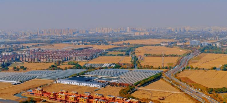 嘉善大云雷迪森庄园图片