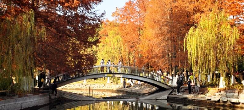 秋思城市景观公寓(南部商务区罗蒙环球城店)图片