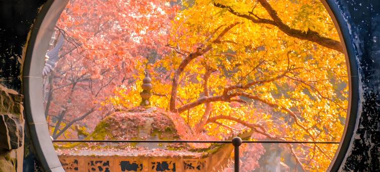 格林元素酒店(苏州东吴北路地铁站店)图片