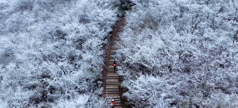 杭州鸬鸟希尔顿花园酒店图片