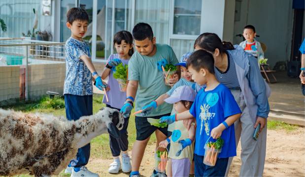 竖德农场民宿图片