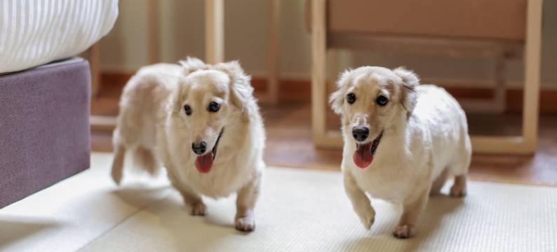 龟乃井酒店大和平群(Kamenoi Hotel Yamato Heguri)图片