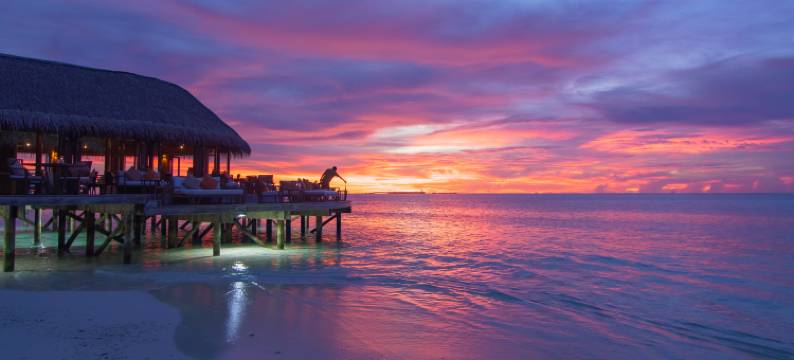 马尔代夫美憬阁米里希V别墅(V Villas Maldives at Mirihi - MGallery Collection)图片