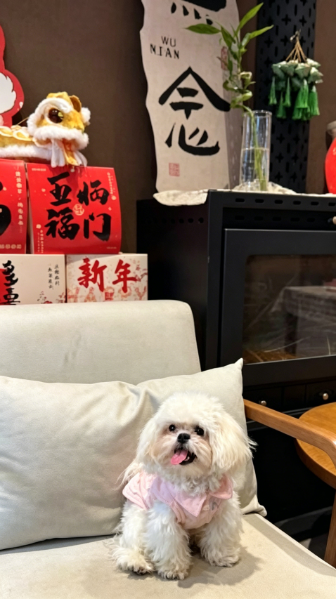 向晚向南民宿(九华山柯村游客换乘中心店)图片