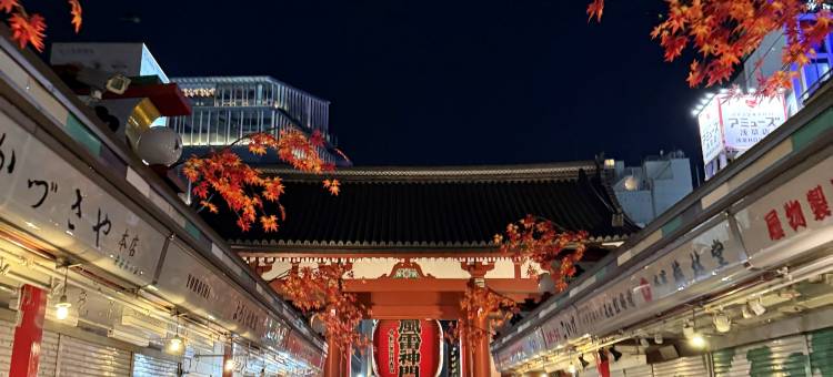 浅草旅馆([New OPEN] Asakusa Temple! 20 seconds to Raimen / Hinoki bath · Simmons / Maximum capacity 8 people)图片