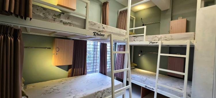 小玛琅亲年旅舍(Little Malang Hostel)图片